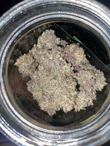 Gelat.Og — flower, day 73