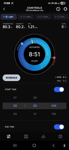 Purple Haze  — flower, day 56