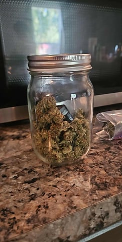 Mango Runtz — harvest, day 88