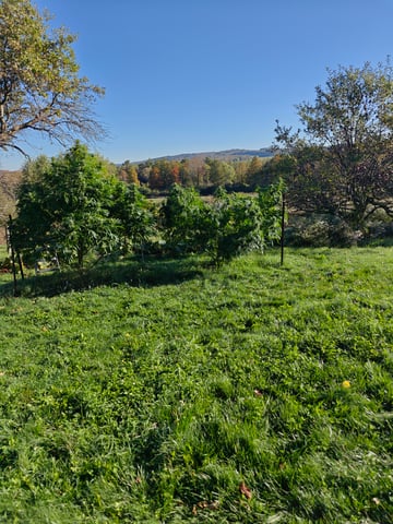 outdoors  unground 2025