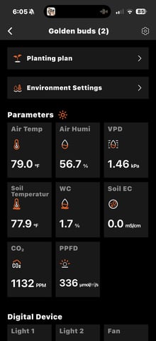  Trying to go big — vegetative, day 62