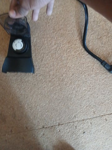 veve — seedling_rooting, day 4