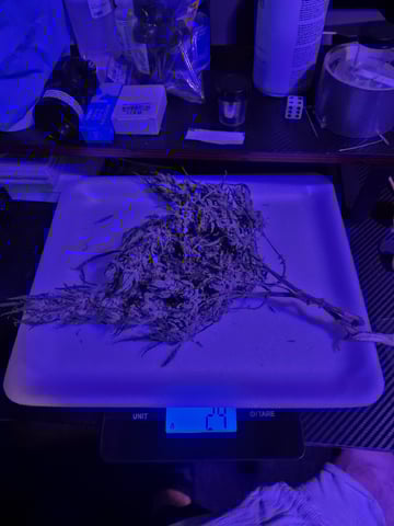 I'll get it right — done, day 106