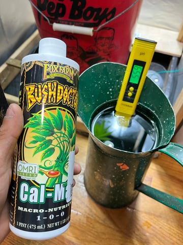 My Devine Conscious  — vegetative, day 121