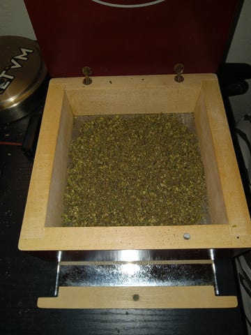 closet grow for veg with a.c infinity air intake fan .With no carbon filter just suction,and spider farmer sf 7000.Then a spider farmer sf tent 4×4×6.5with a G1500 l.e.d from spiderfarmer and spider farmer 6inch clip oscalating fan. — flower, day 58