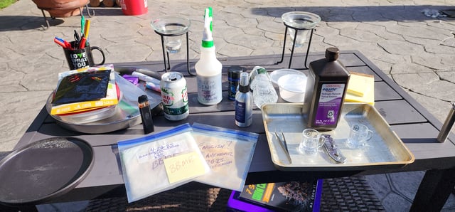 Here We Grow... — germination, day 2