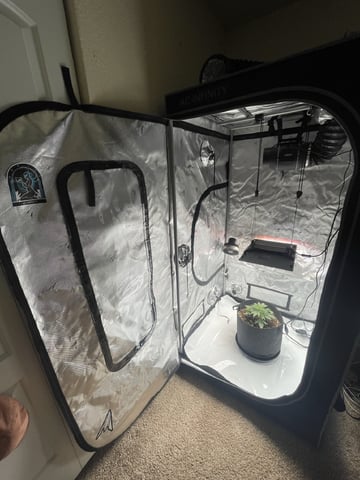 3x3 Grow — flower, day 1