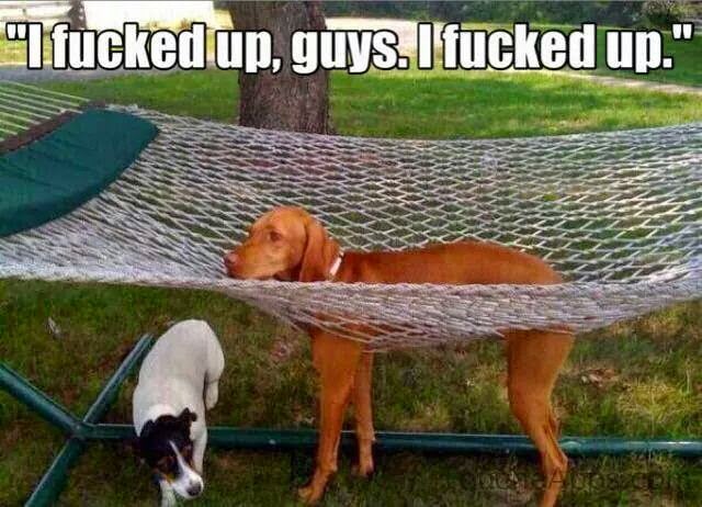 Let's just leave these right here! — flower, day 73