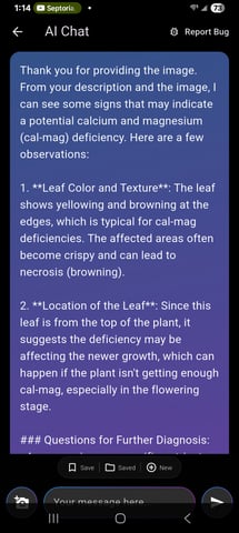 Gurilla Glue #4 × Samsquatch autos — flower, day 66