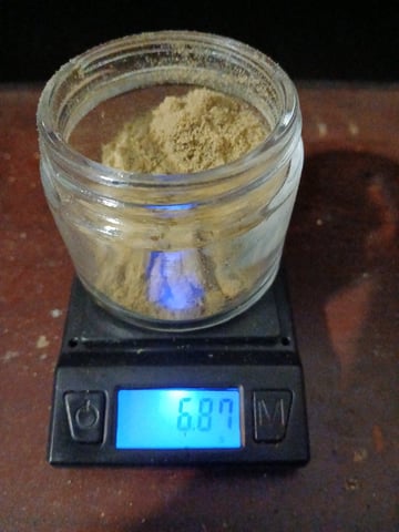 newest ggs setup grow — harvest, day 105