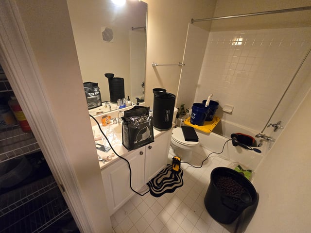 Fastbuds Autoflower Run — seedling_rooting, day 6