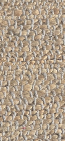 Auto Strains — grow_setup, day 2