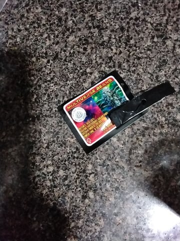 Atlas Seeds — germination, day 2