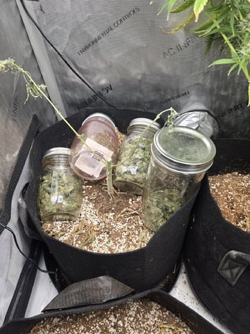Indoor — done, day 110