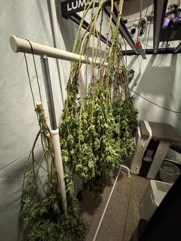 Permanent Marker, Gary Payton