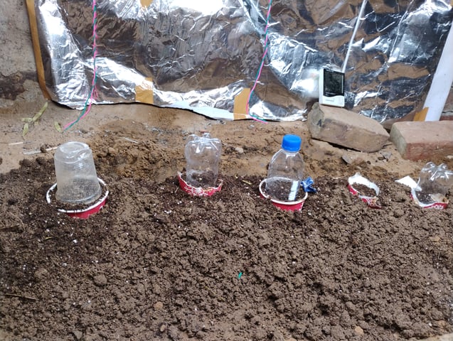 green o matic indoor in soilf — grow_setup, day 3