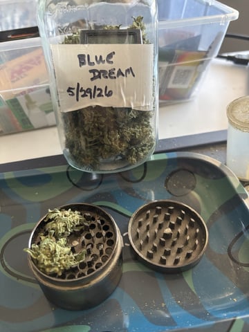 3 seeds  — done, day 104