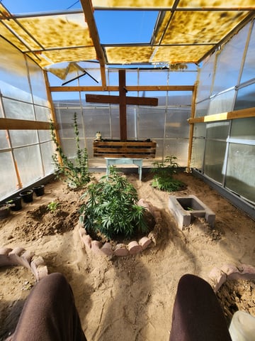 Greenhouse  — grow_setup, day 1