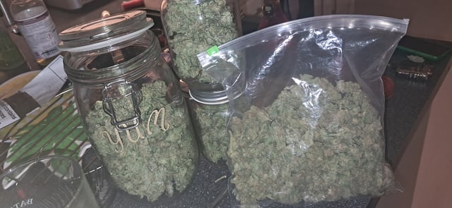 1st grow (green house)(natural)