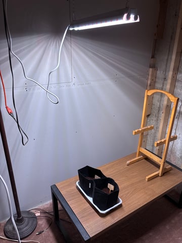 Round 1 — germination, day 1