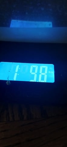 newest ggs setup grow — harvest, day 89