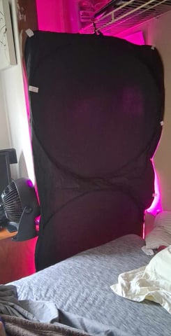 first grow  — vegetative, day 5