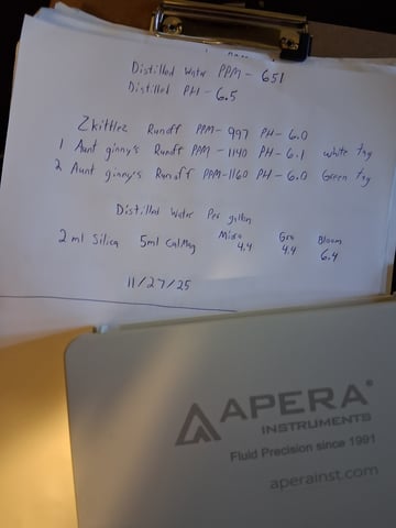 Lemon Cherry Cookies, Purple Haze and Strawberry Gorilla Grows — flower, day 74