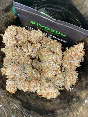 Rainbow Mints — harvest, day 73