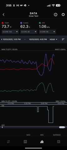 Grow 1 — flower, day 45