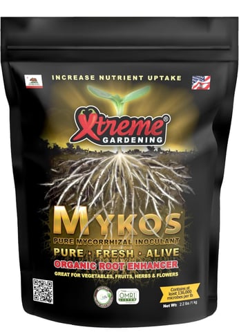 Rings of Saturn & Ghostboosters - Apollo Haze Artisanal Line — germination, day 1