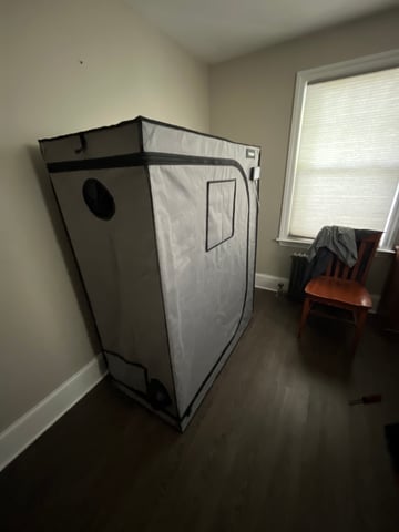 First Round — vegetative, day 3