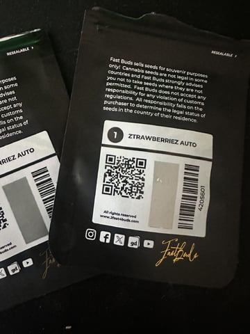 Ztrawberriez (Auto) 2026 - 1 — germination, day 1