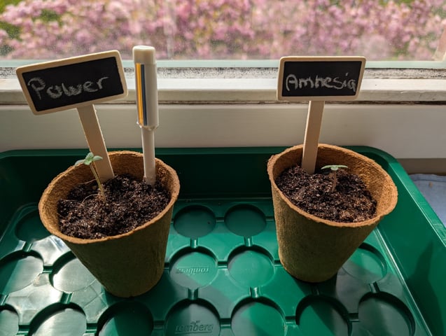 First Grow April '26