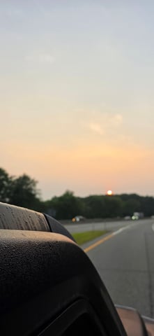 Let's just leave these right here! — germination, day 11