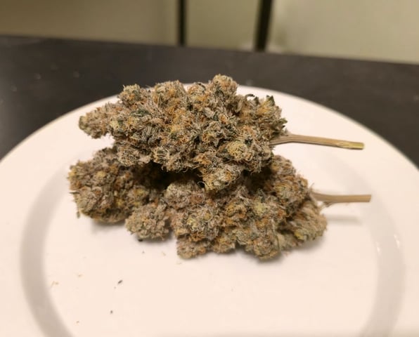 Grow 3 — harvest, day 78