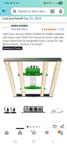 MOTHER ROOM — grow_setup, day 1