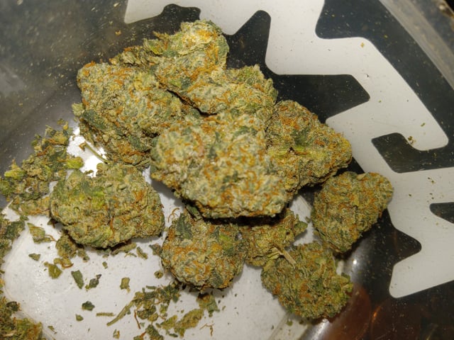 closet grow for veg with a.c infinity air intake fan .With no carbon filter just suction,and spider farmer sf 7000.Then a spider farmer sf tent 4×4×6.5with a G1500 l.e.d from spiderfarmer and spider farmer 6inch clip oscalating fan. — vegetative, day 4