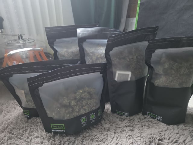 White Widow + Papaya Bomb
