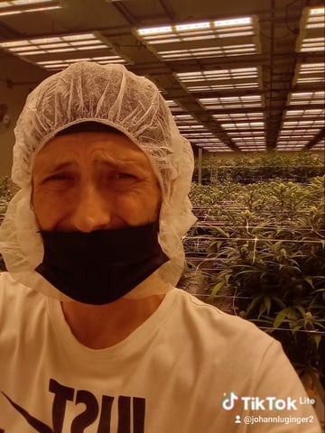 5 Autos — grow_setup, day 14