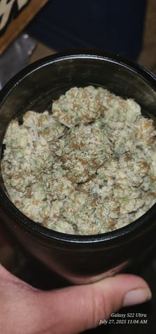 Punch Mints Pheno #2 — harvest, day 69