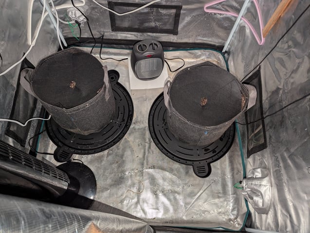 2025 EOY Grow — grow_setup, day 1