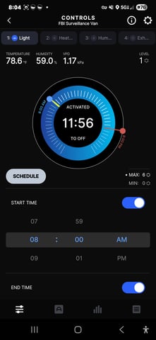 Purple Haze  — flower, day 60