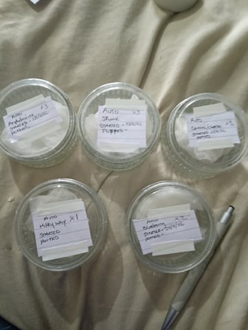 4 Different Kinds Of Autos 