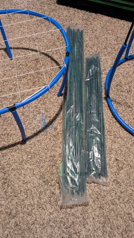 Mixed Grow — grow_setup, day 42