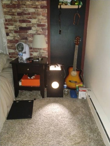 GreenCrack Feminized  (Samurai Squirrel Seeds) — none, day 3