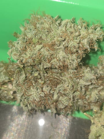 2nd Autoflower Indoor Grow — flower, day 102