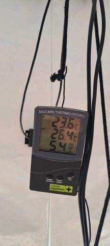 First Grow with the new setup  — vegetative, day 50