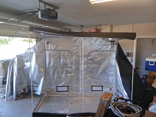 Seedman mix auto & seedman mix auto & GodFather OG — auto, day 67