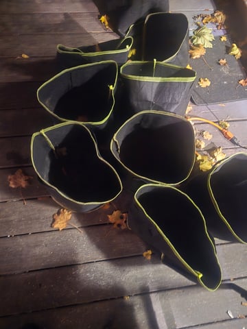 3rd Auto Grow — grow_setup, day 1