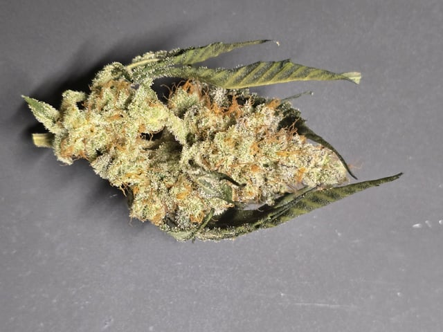 Hydroponic Photos